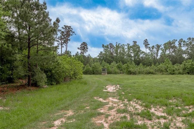 4785 Us Highway 287 S, Home with 4 bedrooms, 2 bathrooms and 3 parking in Crockett TX | Image 10