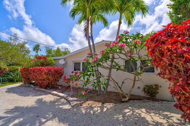 Side Yard | Image 39