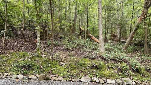 28 Walden Cove Way, Sevierville, TN, 37862 | Card Image
