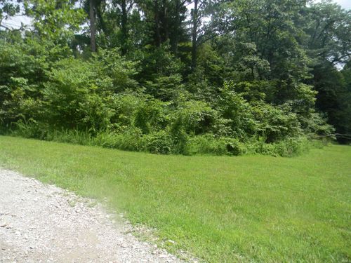 00 Denali Dr, Spencer, IN, 47460 | Card Image