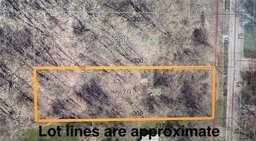 Lot B Maddock Road, North Ridgeville, OH, 44039 | Card Image