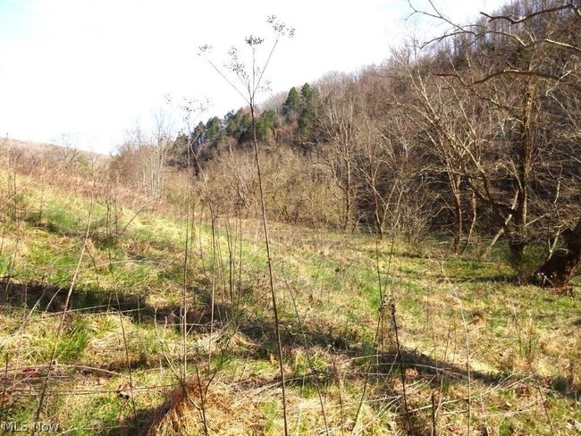 14479 Elk River Rd, House other with 2 bedrooms, 2 bathrooms and null parking in Duck WV | Image 37