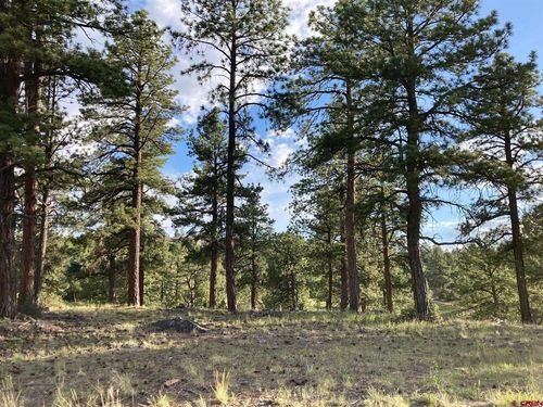 10 Poplar Pl, Ridgway, CO, 81432-9249 | Card Image