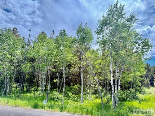 4498 Stone Run, Island Park, ID, 83429-5086 | Card Image