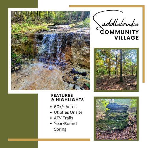 000 Dry Hollow Rd, Chestnutridge, MO, 65630 | Card Image