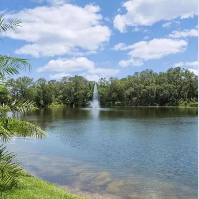 50A - 2722 11 Th Ct, Condo with 2 bedrooms, 3 bathrooms and null parking in PALM HARBOR FL | Image 36