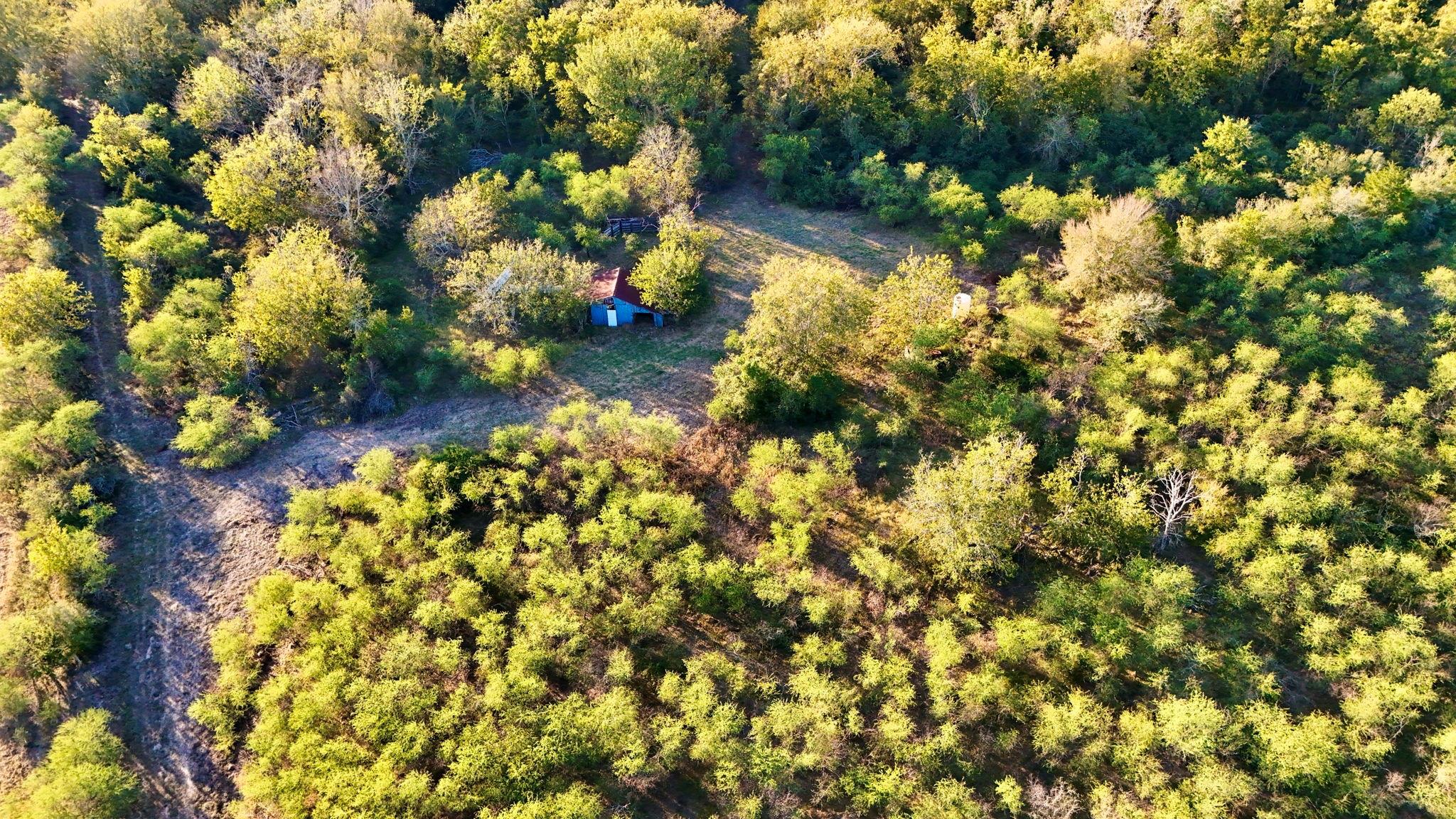 Farm in East Bernard 4