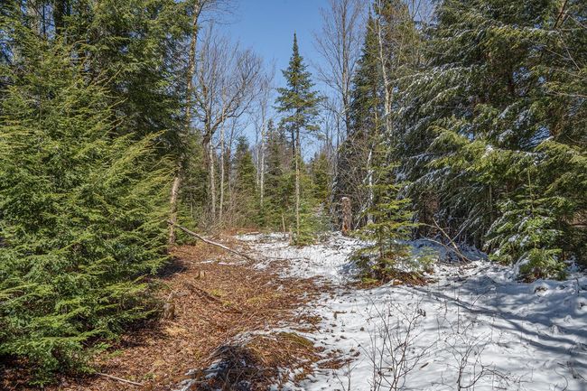 160-acre Pleasant Lake Rd, Home with 0 bedrooms, 0 bathrooms and null parking in Upson WI | Image 8