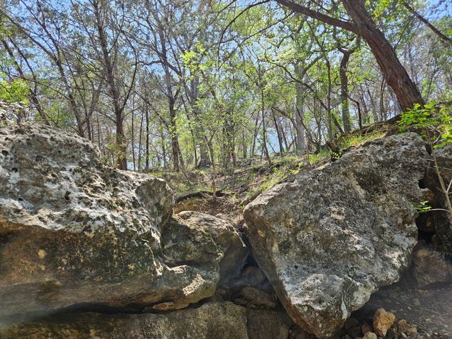 525 Soda Creek Rd, Home with 0 bedrooms, 0 bathrooms and null parking in Spicewood TX | Image 16