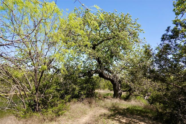 12345 County Road 107, Home with 0 bedrooms, 0 bathrooms and null parking in Mingus TX | Image 18