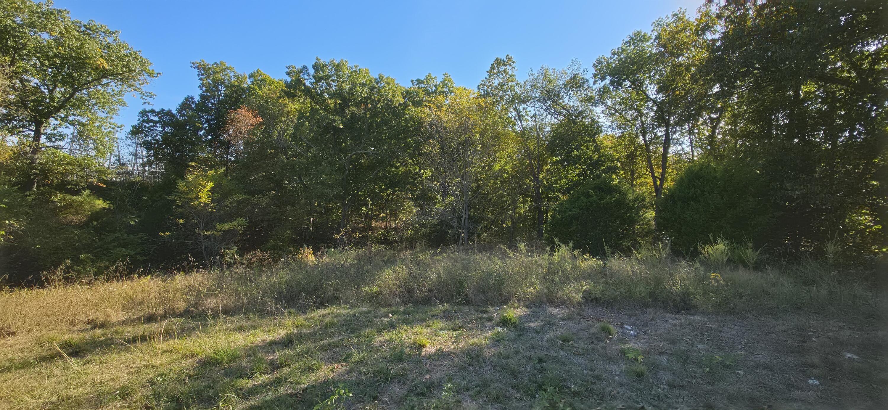 Land in Nixa 3