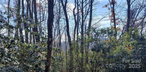 Lot 322 Sunny Dr, Newland, NC, 28657 | Card Image