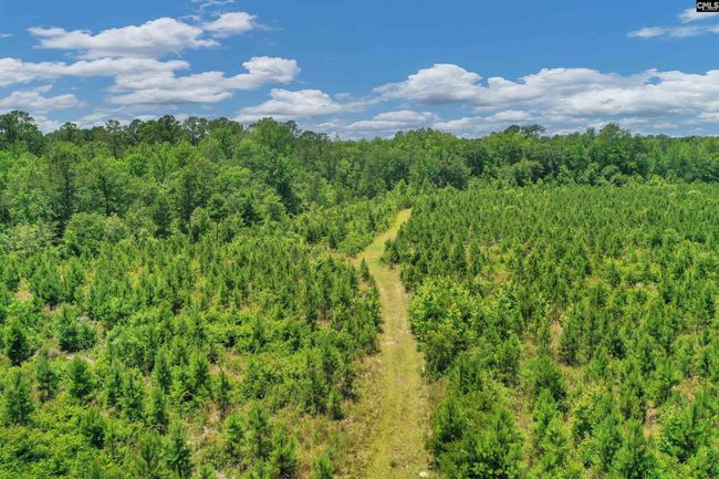 0000 N Brewington Rd, Home with 0 bedrooms, 0 bathrooms and null parking in Manning SC | Image 30