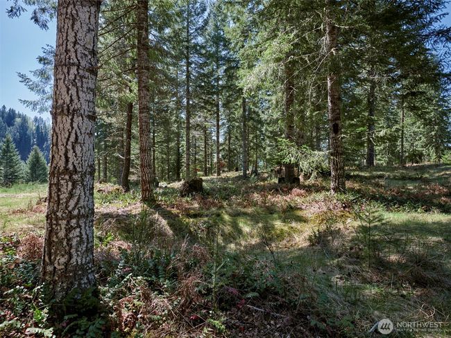 Acreage | Image 9