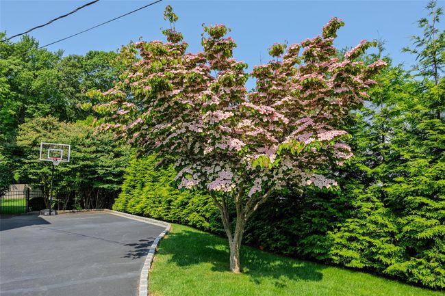 View of yard | Image 46