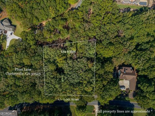 0 Plum Ln, Clarkesville, GA, 30523 | Card Image