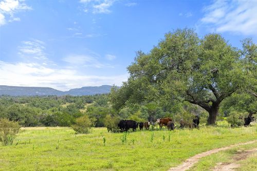 47-9069 Ranch Road 1323, Fredericksburg, TX, 78624-6806 | Card Image