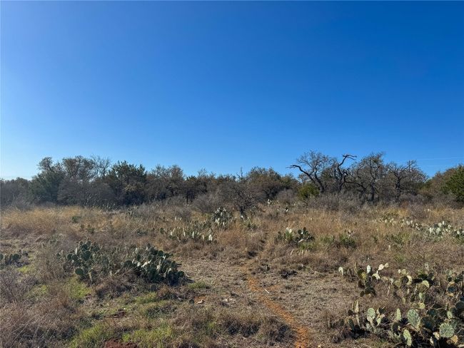 LOT 20 STREET LEVEL | Image 25