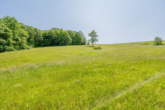 688 Gibson Knob Rd, Home with 0 bedrooms, 0 bathrooms and null parking in Laurel Fork VA | Image 82