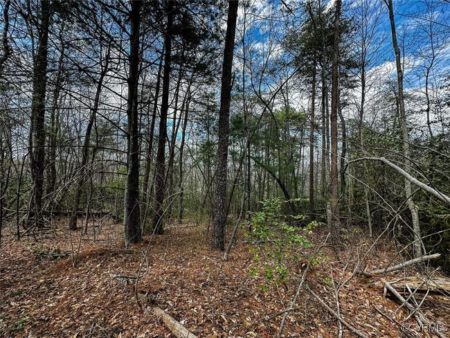 41.18 Acres (Off Of) Pole Bridge Rd, Home with 0 bedrooms, 0 bathrooms and null parking in Stuart VA | Image 28