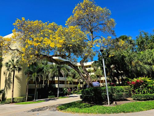 apt-304-1850 Homewood Blvd, Delray Beach, FL, 33445-6894 | Card Image