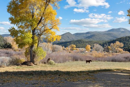 223 Amalia School Rd, Amalia, NM, 87512-8902 | Card Image