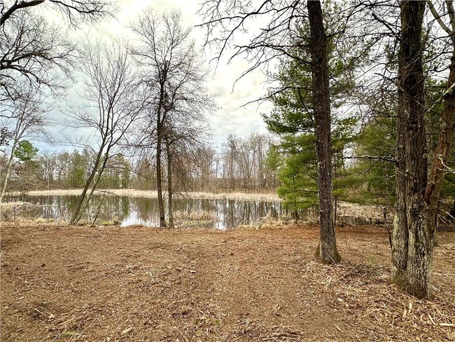 16 295th Street, Home with 0 bedrooms, 0 bathrooms and null parking in Holcombe WI | Image 41