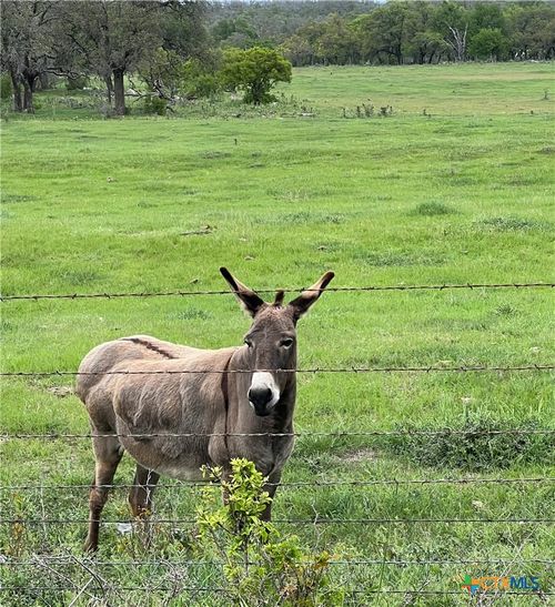 99 Axis Cir, Fredericksburg, TX, 78624-2403 | Card Image