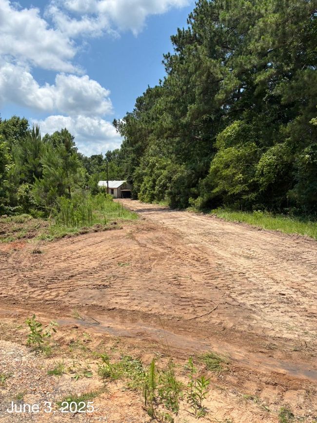 154 Coy Dodson Rd, Home with 1 bedrooms, 0 bathrooms and null parking in Goodrich TX | Image 8