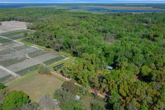 2005 Ne 185 Th St, House other with 3 bedrooms, 2 bathrooms and null parking in CITRA FL | Image 57
