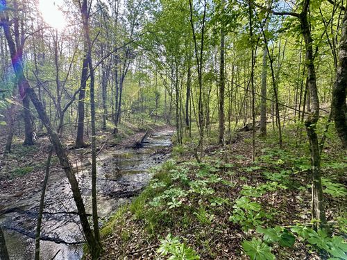 828 Mccord Hollow Rd, Hohenwald, TN, 38462 | Card Image