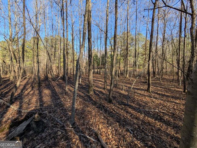 0 Ridgeway Rd, Home with 0 bedrooms, 0 bathrooms and null parking in Trion GA | Image 25
