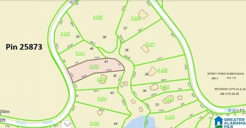 41-Lot 41 Sipsey Pines Rd, Arley, AL, 35541 | Card Image