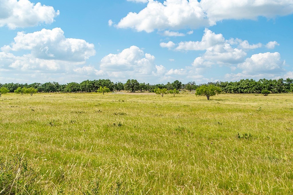 Land in Harper 5