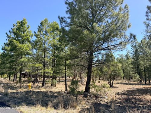 1755 Sugar Pine Dr, Happy Jack, AZ, 86024-8901 | Card Image