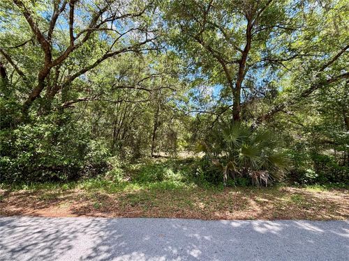 Lot 15 Sw Shorewood Drive, Dunnellon, FL, 34431 | Card Image