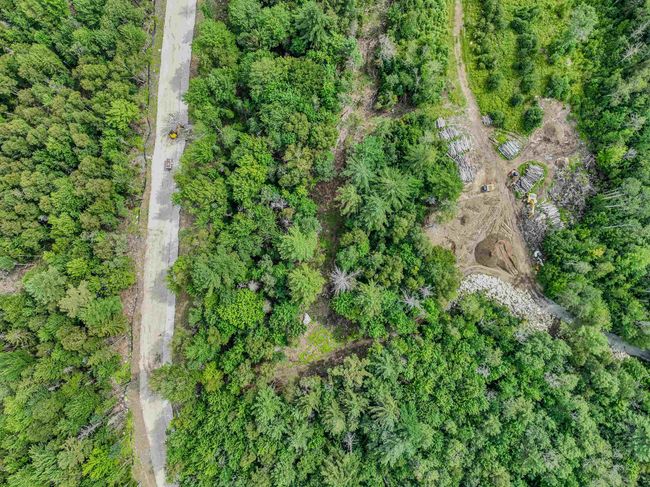 42 - 00 Ridge Rd, Home with 0 bedrooms, 0 bathrooms and null parking in Bethlehem NH | Image 12