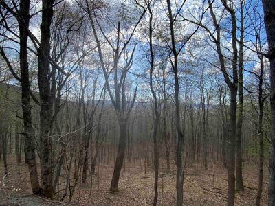 LOT-31 - 31 Mountainside Road, Home with 0 bedrooms, 0 bathrooms and null parking in Davis WV | Image 1