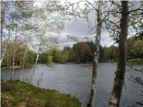 VL Lot 811 Miramichi Dr, Evart, MI, 49631 | Card Image