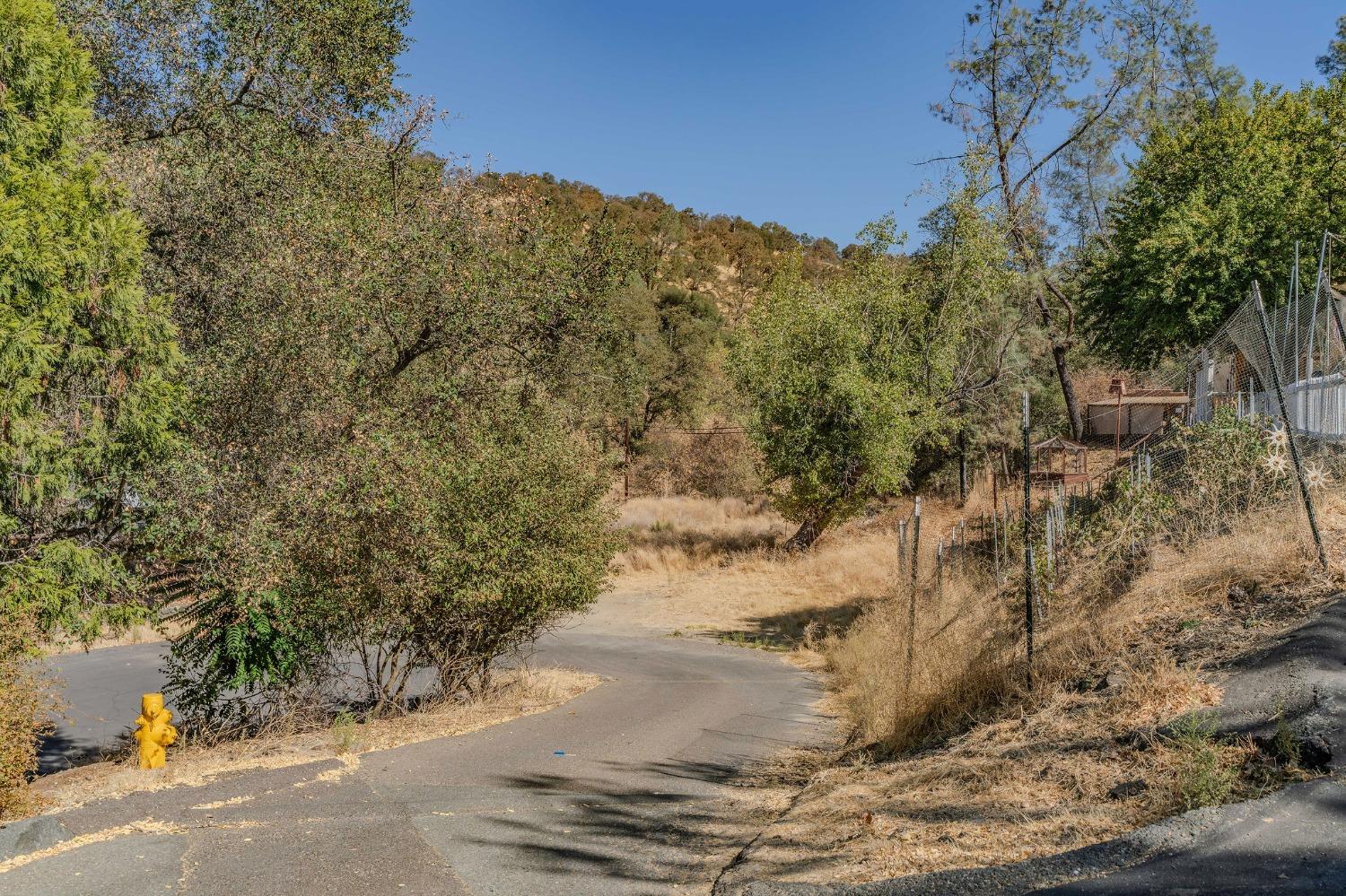 Land in Amador City 5