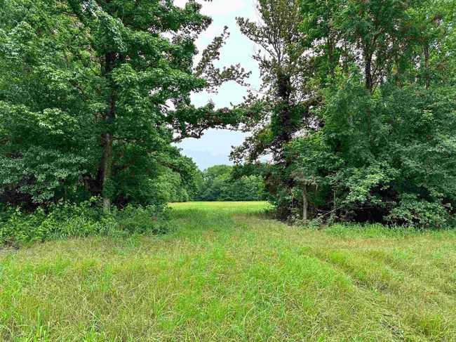 000 Oak Dale Rd, Home with 0 bedrooms, 0 bathrooms and null parking in Lonoke AR | Image 5