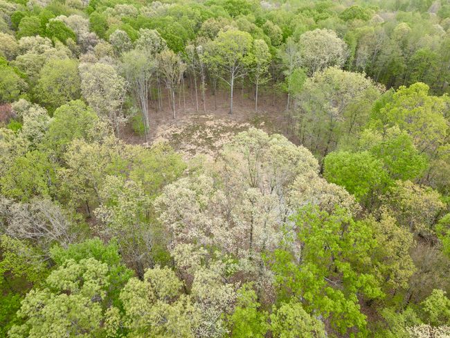 0 Deerwood Dr, Home with 0 bedrooms, 0 bathrooms and null parking in Sewanee TN | Image 47