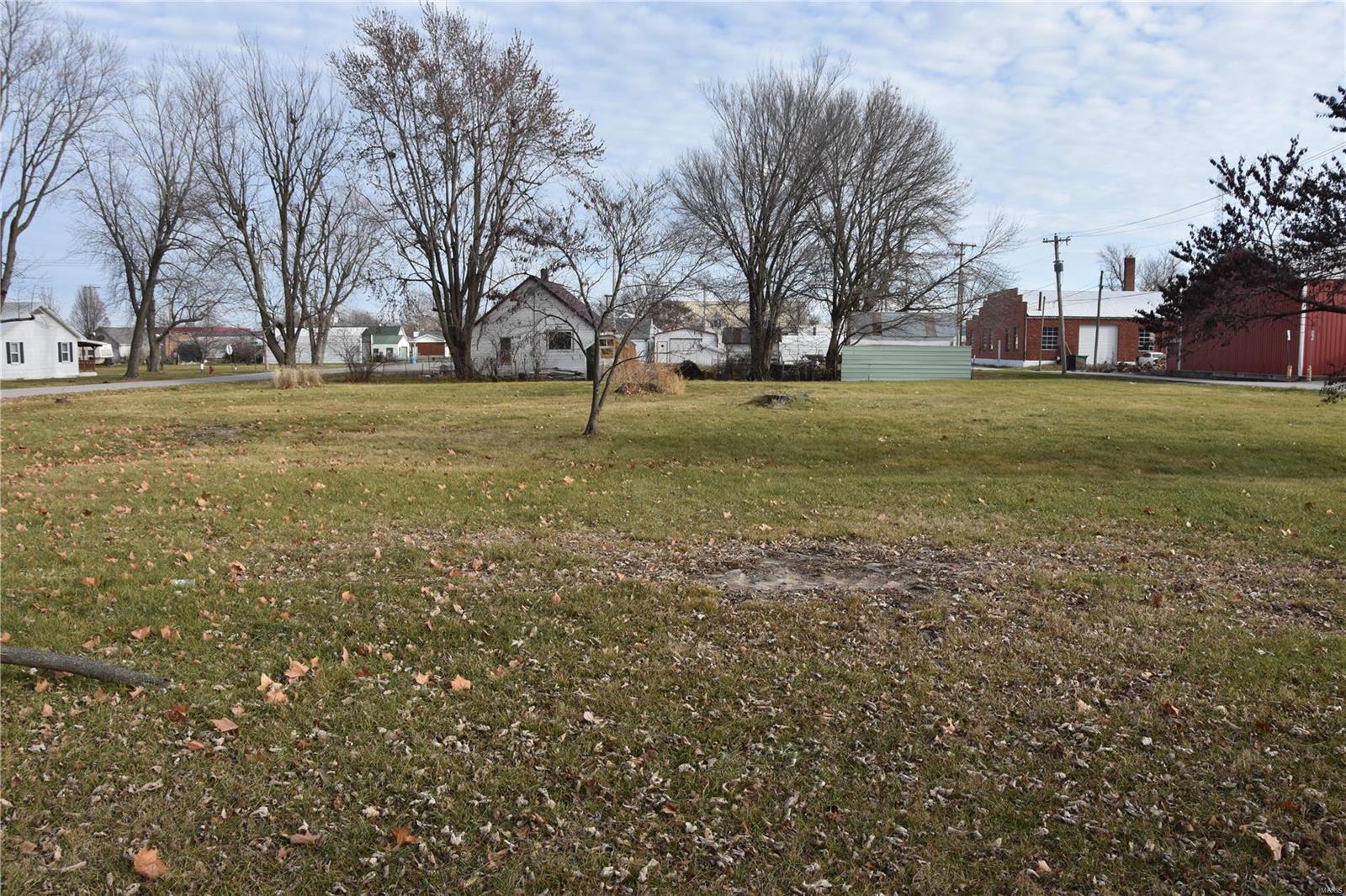 Birch St, Shelbina, MO 63468