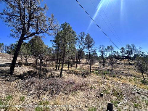 101 Gila Rd, Ruidoso, NM, 88345 | Card Image
