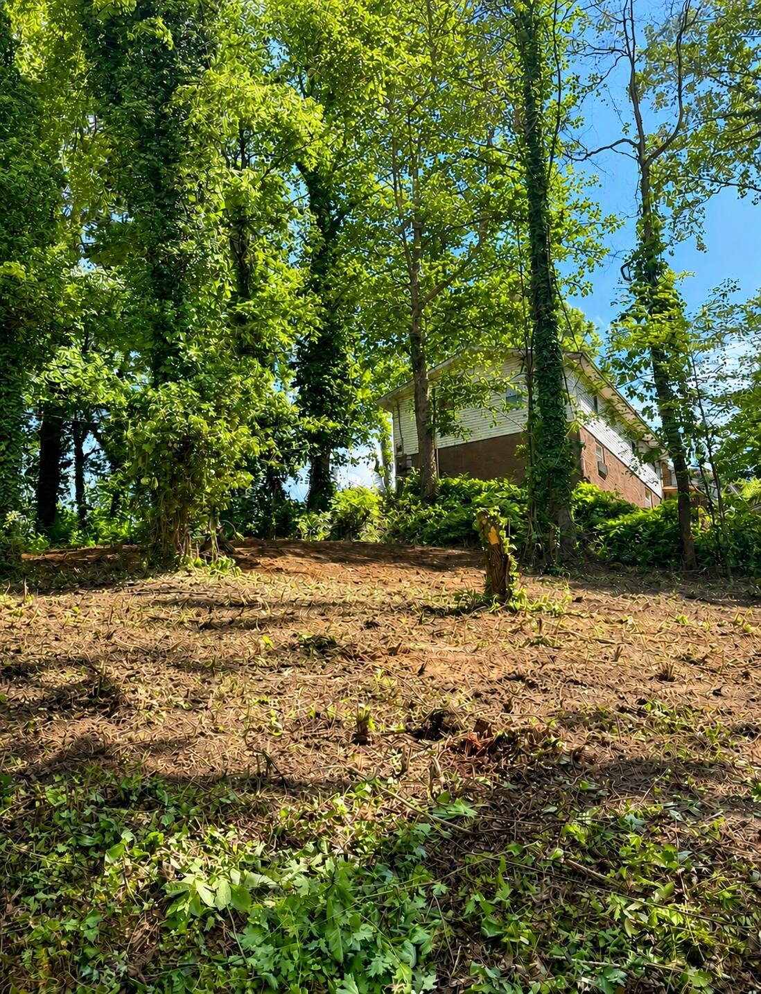 Land in Chattanooga 4