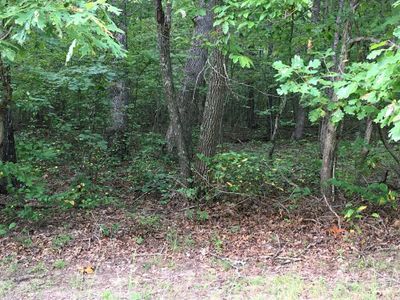 Lot#26 Arrow Trail, Home with 0 bedrooms, 0 bathrooms and null parking in Monterey TN | Image 1