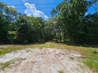 00 County Road 305, Home with 0 bedrooms, 0 bathrooms and null parking in Bunnell FL | Image 1