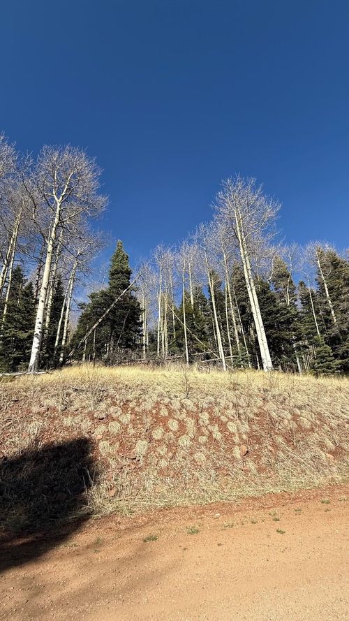 1591 Cascade Overlook, Angel Fire, NM, 87710 | Card Image