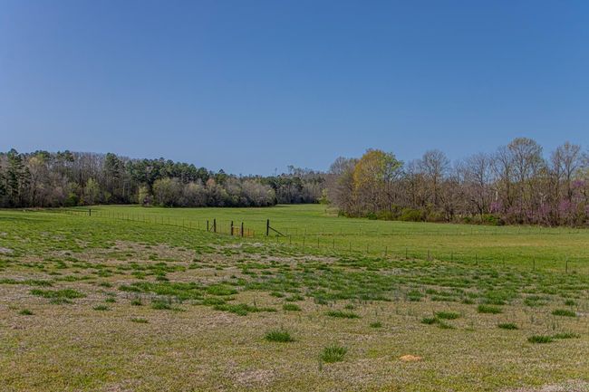 3501 Lake Norrell Rd, House other with 4 bedrooms, 3 bathrooms and null parking in Alexander AR | Image 15