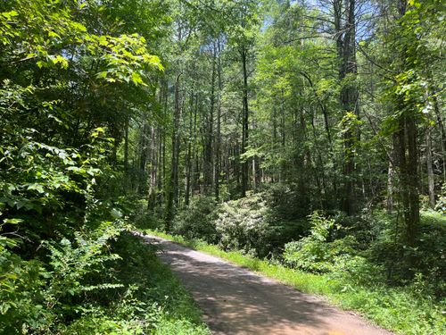 00 Tinker Branch Rd, Reliance, TN, 37369 | Card Image